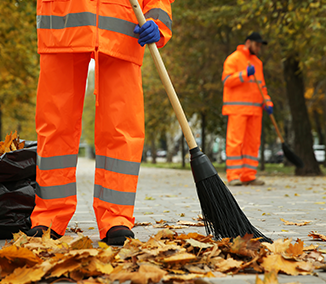 Seasonal Cleanups